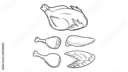 Detailed Line Art of Roasted Chicken and Parts Isolated on Transparent Background Vector