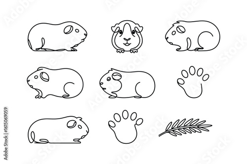 Cute guinea pig illustrations line art rodent animal