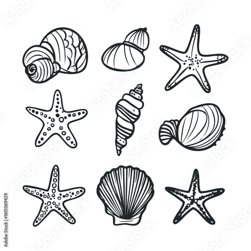 Hand-drawn seashell and starfish collection in black and white