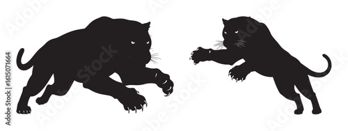 Two black panther silhouettes fighting vector illustration