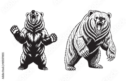 Two aggressive roaring grizzly bears vector illustration