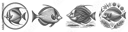 Vintage Hand-Drawn Angelfish Collection Illustration, Marine Fish Engraved Style Vector for T-Shirts and Ocean Themes Design