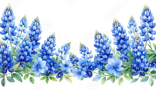 Watercolor bluebonnet floral border