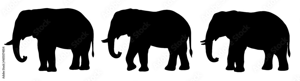 Fototapeta premium Beautiful black silhouettes of three elephants isolated on white background