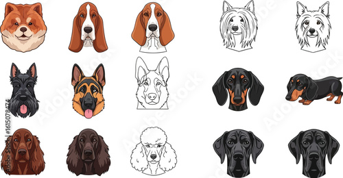 Dog breeds identification guide learn about different dog types and their characteristics guide for dog lovers