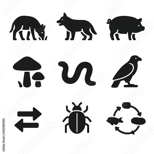 Animal Energy Roles. Solid, filled icon set of animal roles in energy flow: grazing herbivore, hunting carnivore, omnivore,