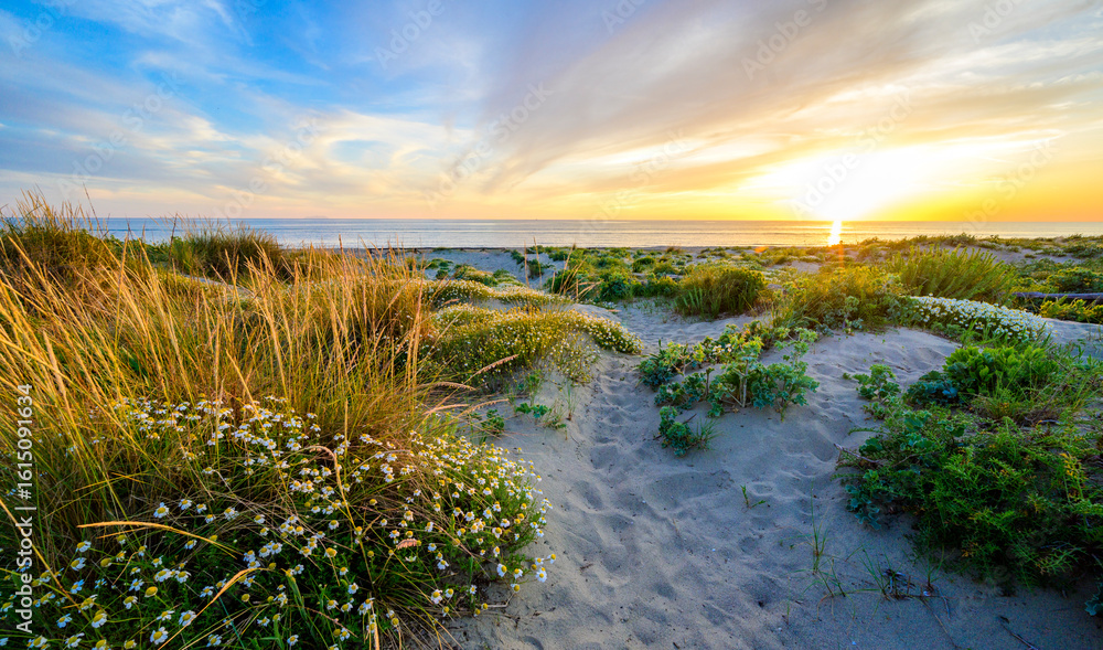 Εκτύπωση καμβά Paradise beach at sunset time - Tuscany -  Travel destination in Italy