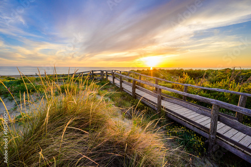 Fototapeta Naklejka Na Ścianę i Meble -  Wooden Walkway to paradise beach at sunset time - Tuscany -  Travel destination in Italy