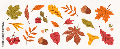 Autumn hand darwn elements set. Cute nature doodle stickers. Fall leaves, acorn, chanterelle, chestnut leaf, maple, raspberry, oak, ashberry. Harvest time. Vector colorful trendy illustration.