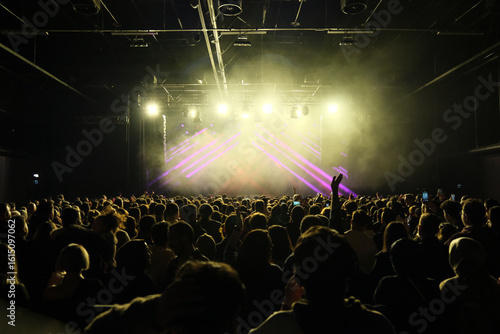 crowd of people dancing at concert