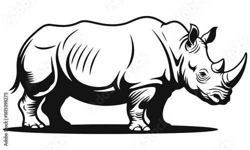 rhino on white
