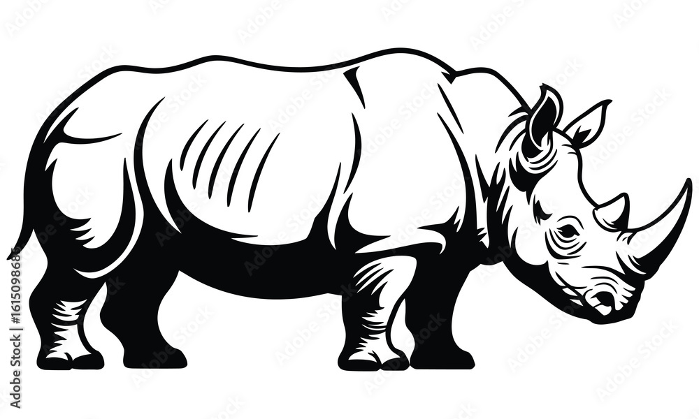 Fototapeta premium rhino vector illustration
