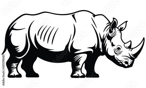 rhino vector illustration