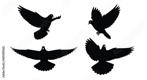 Vector silhouette illustration four black silhouettes of doves in flight, isolated on a white background