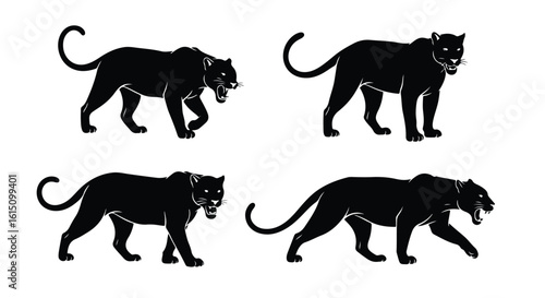 Vector silhouette illustration four black silhouettes of panthers in various poses, isolated on a white background