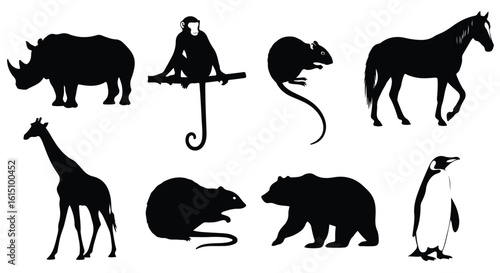 Vector silhouette illustration silhouettes of a monkey, rats, and a bear, depicting diverse wildlife in their natural settings