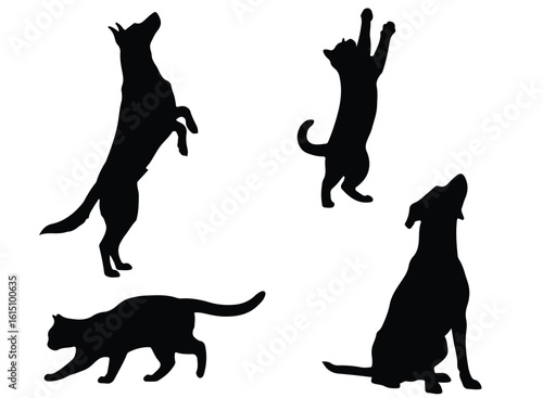 Vector silhouette illustration silhouettes of dogs and cats in playful and attentive poses