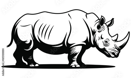 rhino on white background