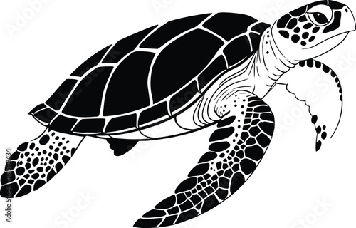 Cute wild turtle with a shell walking slowly in nature
