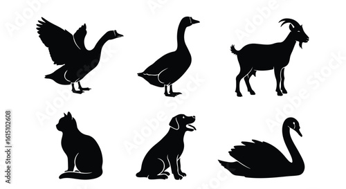 Vector silhouette illustration a collection of black animal silhouettes including geese, a swan, and a dog on a white background