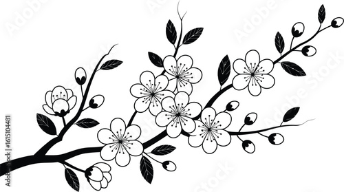 Black and white illustration of cherry blossom branch