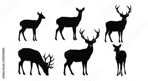 Vector silhouette illustration a set of black deer silhouettes, including a majestic stag with large antlers and a graceful doe, in profile