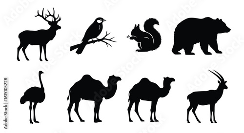 Vector silhouette illustration silhouettes of a bird on a branch, a squirrel eating, and two camels in a row