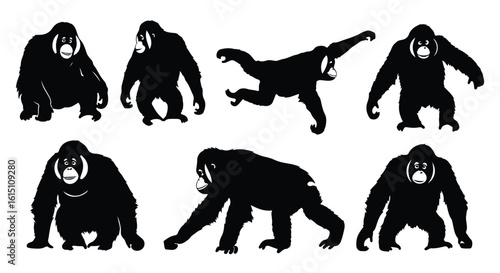 Silhouette vector set silhouettes of three gorillas in various poses, isolated on a white background