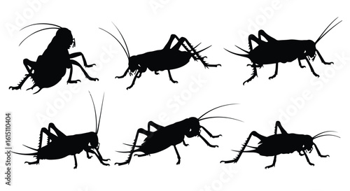Silhouette vector set a collection of black cricket silhouettes is displayed against a stark white background