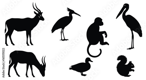 Vector silhouette illustration diverse animal silhouettes featuring a heron, duck, and monkey against a white background