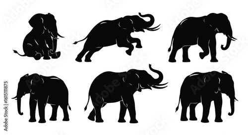 Silhouette vector set a collection of black silhouette elephants in various poses against a white background