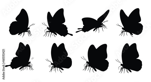 Silhouette vector set four black butterfly silhouettes are displayed against a stark white background, showcasing their delicate wings and antennae