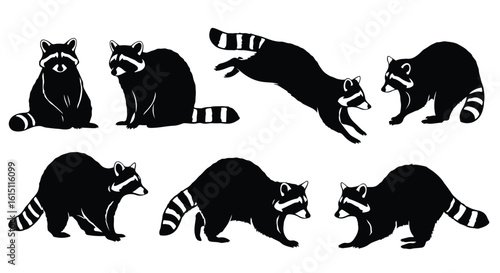 Silhouette vector set a collection of playful raccoons in various dynamic poses, captured in a bold black silhouette against a clean white background