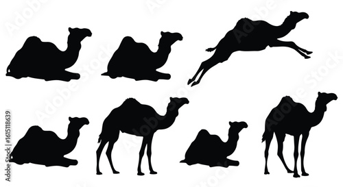 Silhouette vector set a collection of four black camel silhouettes in various poses, isolated on a white background