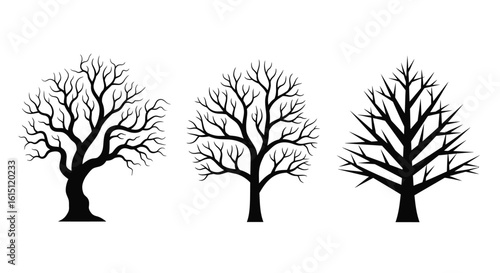 Silhouette of Three Different Bare Trees

