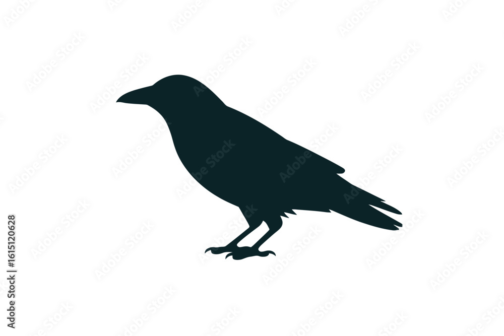 Fototapeta premium Dark Crow Silhouette bird black