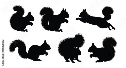 Silhouette vector set a collection of black squirrel silhouettes in various playful poses against a white background
