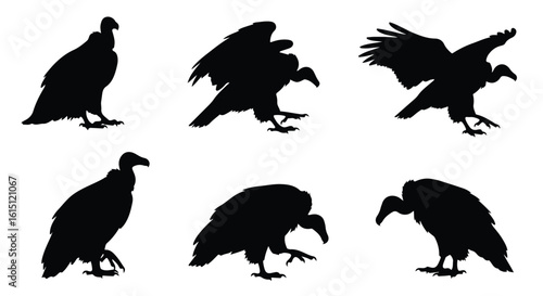 Silhouette vector set a collection of black vulture silhouettes in various dynamic poses, showcasing their wingspans and predatory stances