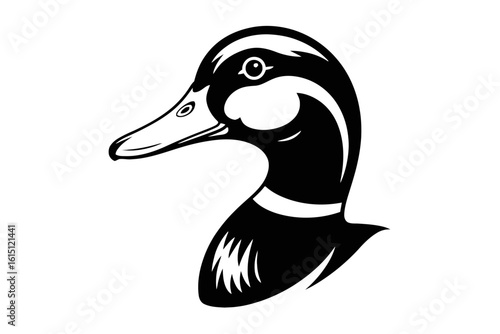 Mallard Duck Head Profile bird waterfowl
