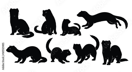 Silhouette vector set a collection of black ferret silhouettes in various playful poses on a white background