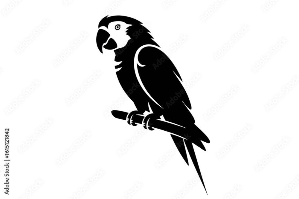 Fototapeta premium Perched Parrot Silhouette bird branch