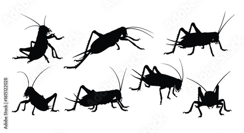 Silhouette vector set silhouettes of crickets in various poses, isolated on a white background