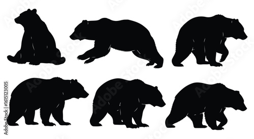 Silhouette vector set a series of black bear silhouettes showcasing different movements and stances on a white backdrop