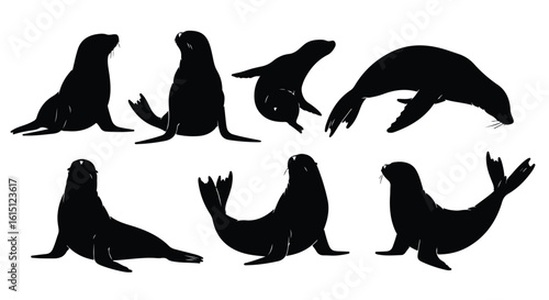 Silhouette vector set a collection of black seal silhouettes in various poses, showcasing their aquatic movements and forms