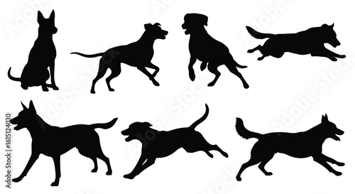 Silhouette vector set a collection of black dog silhouettes in various active poses on a white background