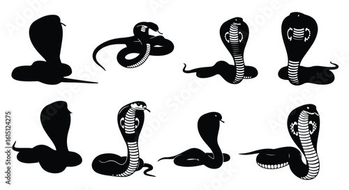 Silhouette vector set a collection of four black cobra snakes in various poses on a white background