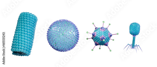 Obraz na plátně Scientific illustration showing different virus types by shape, including helical, spherical, icosahedral and bacteriophage structures