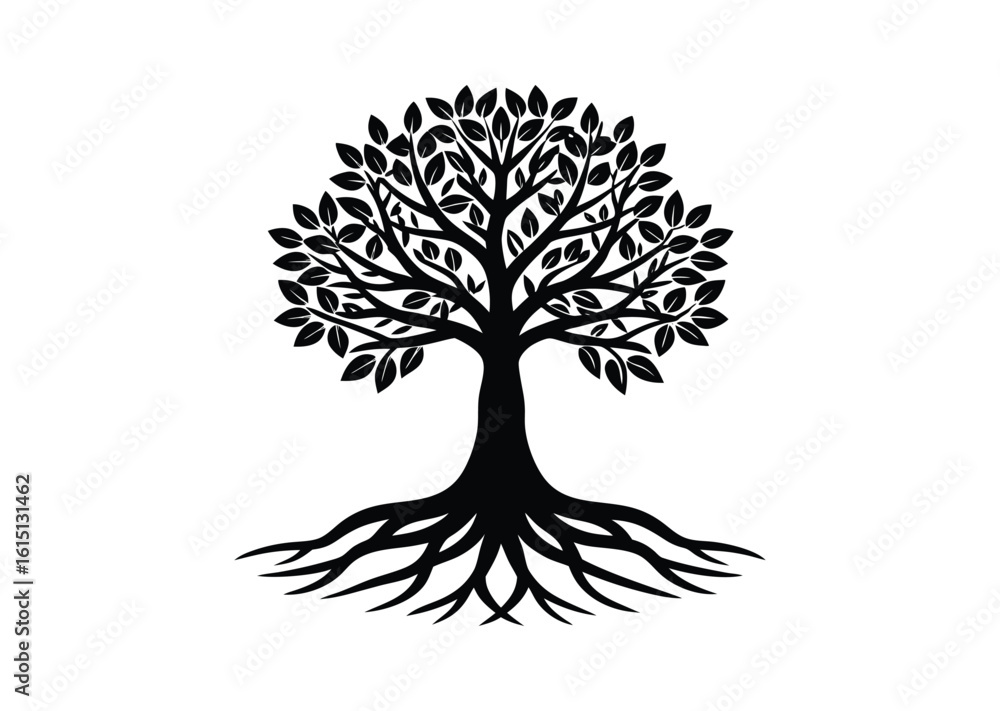 Fototapeta premium Mangrove tree silhouette black vector white background