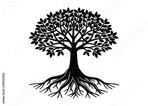 Mangrove tree silhouette black vector white background