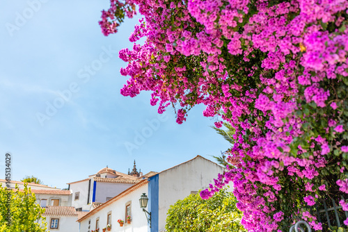 Foto Cobblestone Street and Colorful Flowers in Obidos